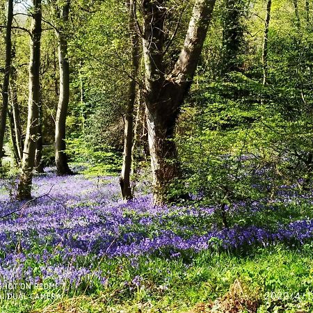 Holly Wood Lägenhet Ault Exteriör bild